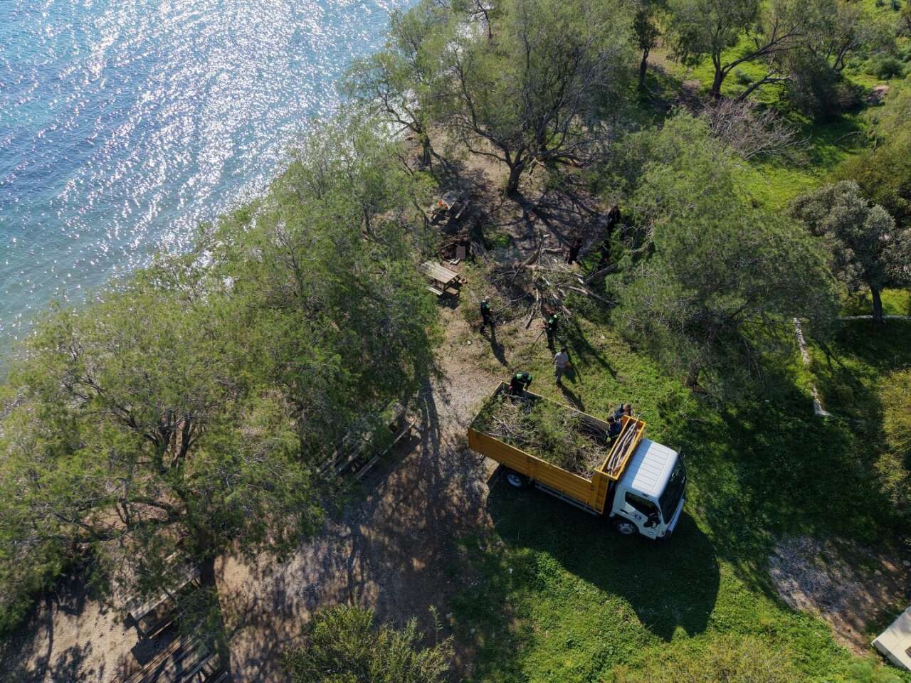 Fırtınada Devrilen Ağaçlar Bodrum’da Yeniden Toprakla Buluştu 3